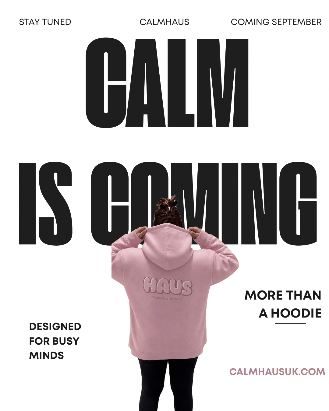 A Big Week at CalmHaus: The Highs, the Hurdles and Everything in Between 💙