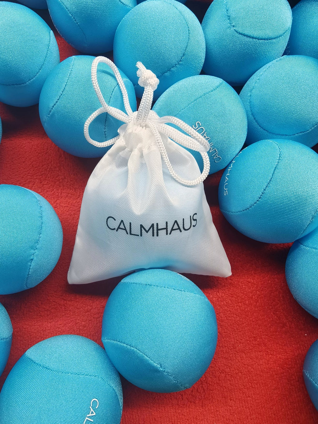 PRE- ORDER: The SquishHaus Stress Ball